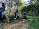 HORSE CLUB (Layan Beach) thumb 7